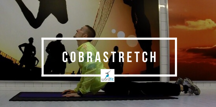 Cobrastretch WordFit.be