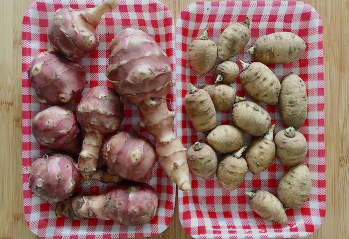 Aardpeer en wervelwortel WordFit.be Gezonder eten via online coaching